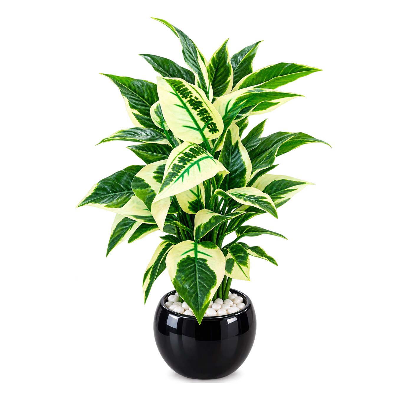 Artificial Variegated Plant with Black Decorative Pot